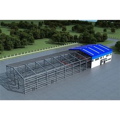 בניין מתכת 24x50
